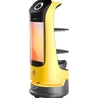 Foto articolo dell\'articolo Robot per Consegne Autonomo - KettyBot