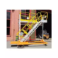 Foto articolo dell\'articolo Scala speciale elevabile